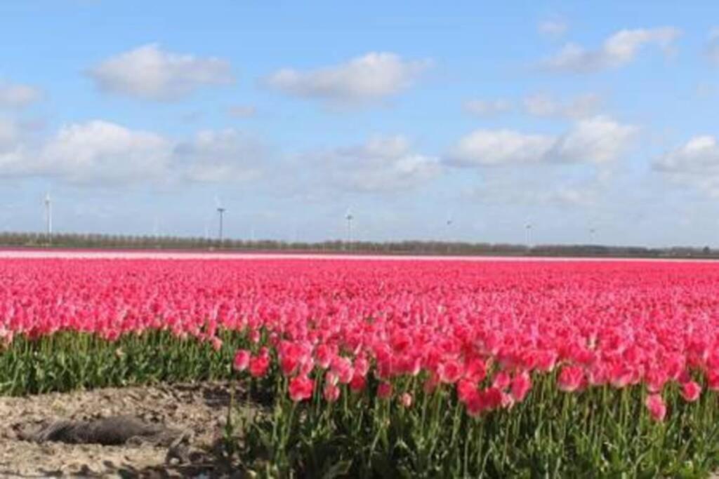 Horsterwold * Zeewolde