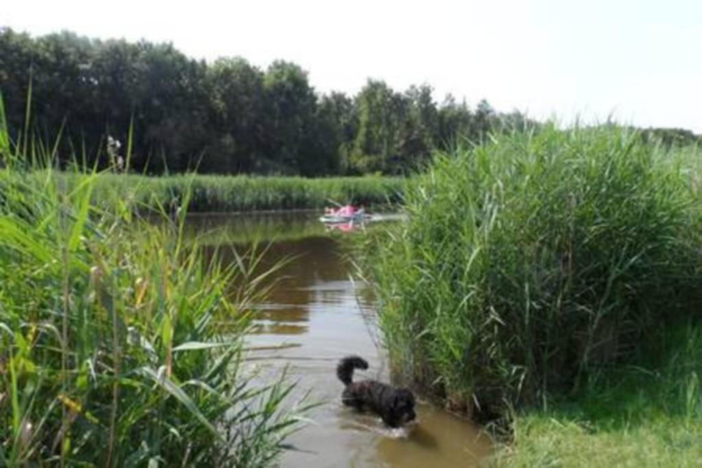 Horsterwold Hébergement de vacances *