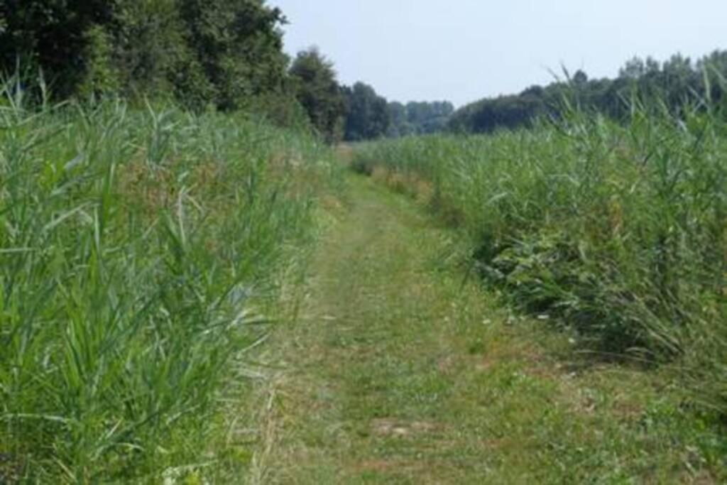 Hébergement de vacances Horsterwold *